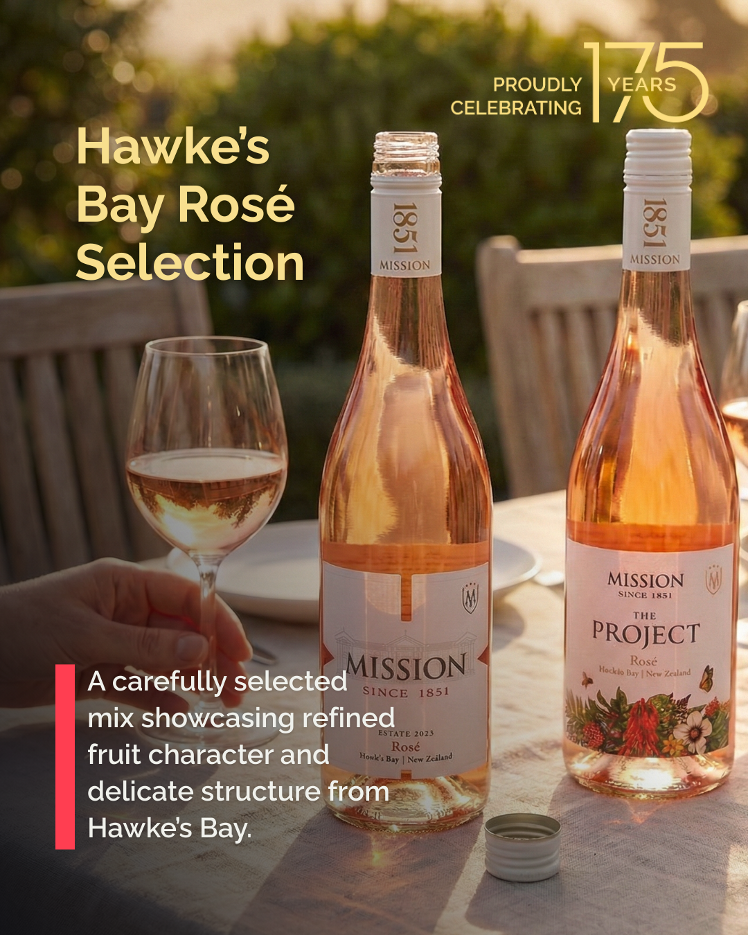 Rosé Mixed Case